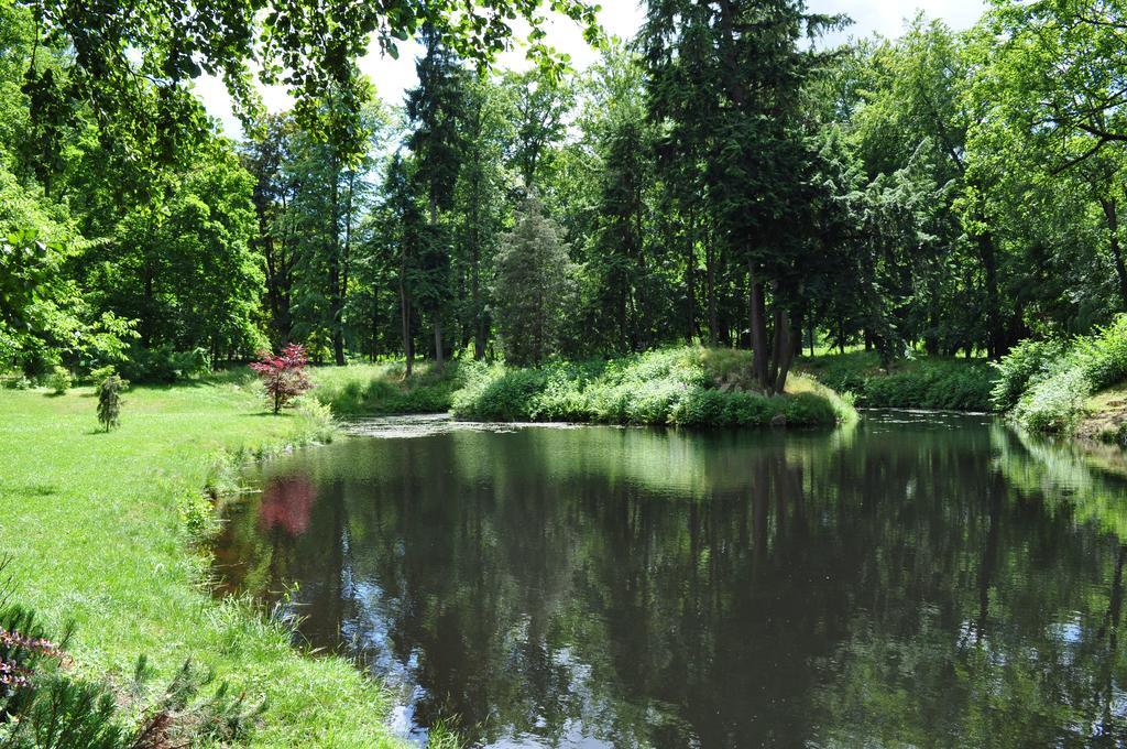 Lipa 4* Krásná Lípa